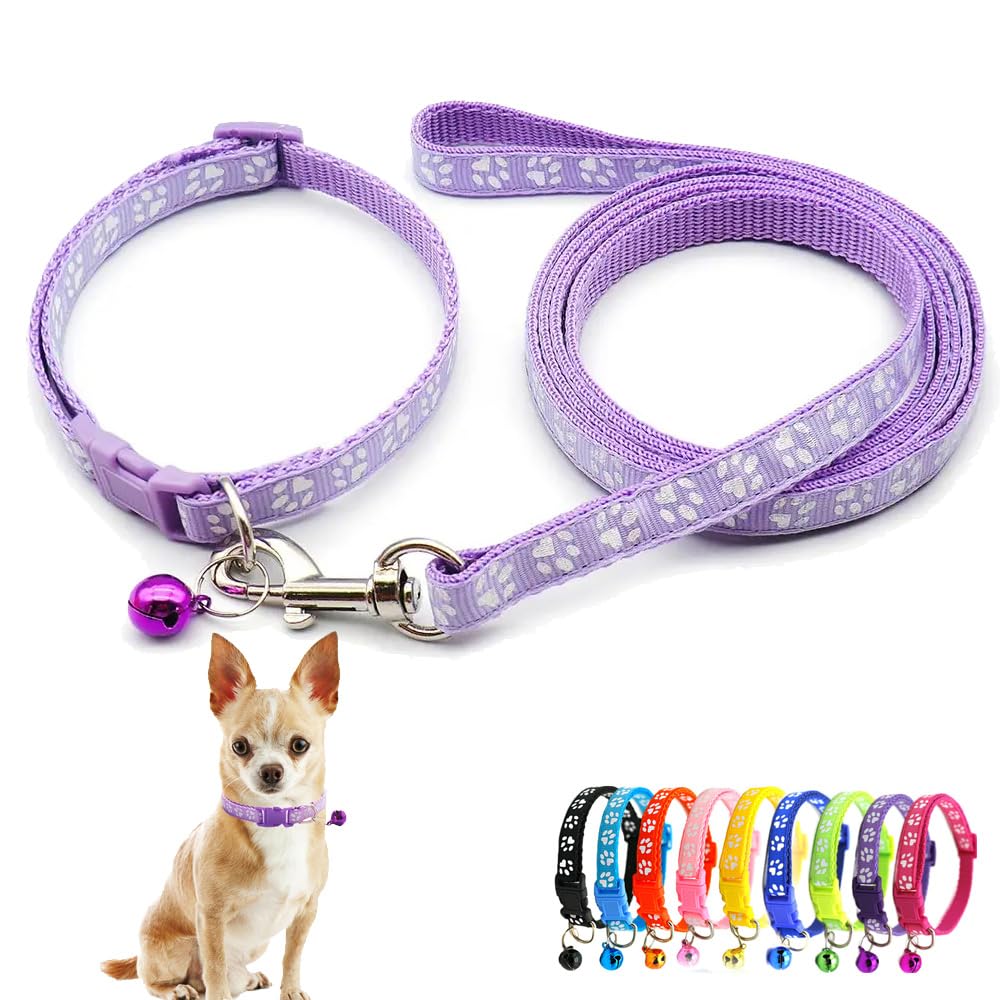 Collier pour chat et chiot violet avec laisse pour des balades sereines