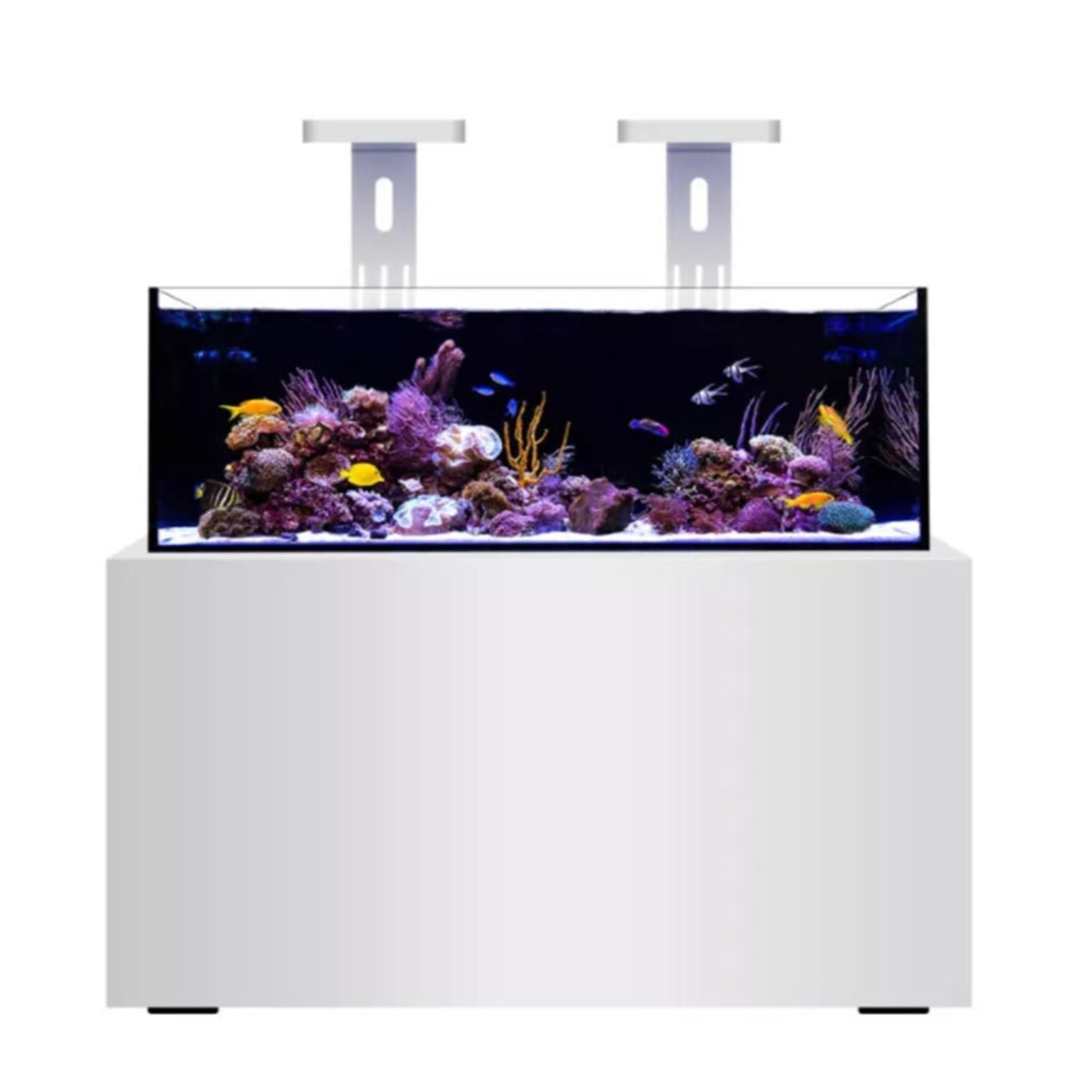 Luce dell'acquario del corallo mare Forniture for acquari Controller for barriere coralline marino, serbatoi di per acquario di pesci