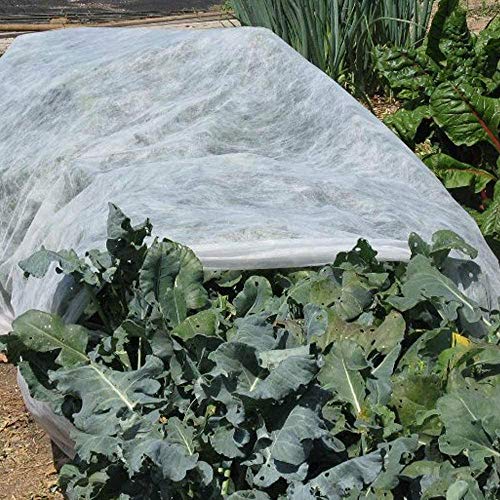 Etsamal Plant Covers Freeze Protection 6.5 X 33Ft Winter Plant Frost Cover Plant Protection Cover Warm Frost Cloth Blanket Garden Fabric Protect Fruit Potted Plants From Freezing And Animals Eating #TOP2