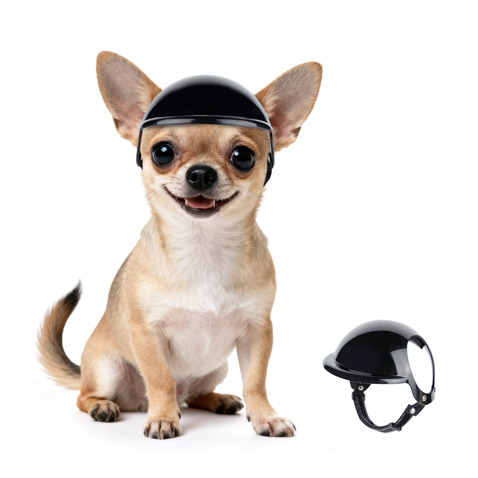 chihuahua helmet motorcycle PETLESO Dog Helmet for Small Dogs, XSmall Chihuahua XSmall, Black