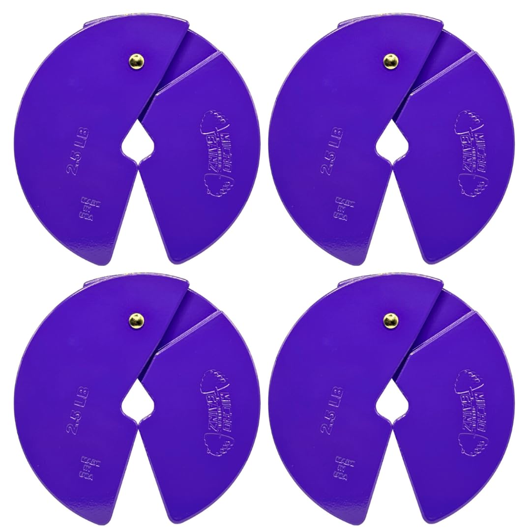Micro Gainz Dumbbell Fractional 2.5 lb Weight Plate, Ideal for Micro Loading, (Choose Color) 4 Piece Fractional Weight Plates, Designed for Dumbbell Training, Made In USA (Purple) โ image 1