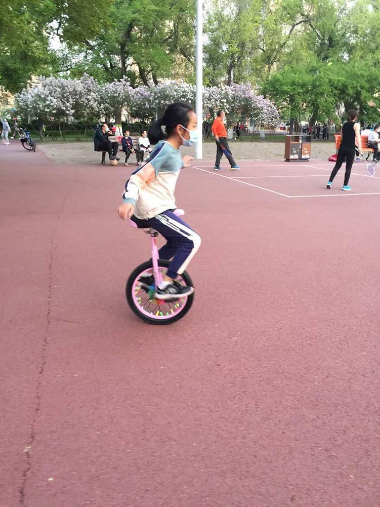 ひひま　20インチ外用一輪車 Amazon | ides ニンジャウィール 20インチ 一輪車 小学校高学年