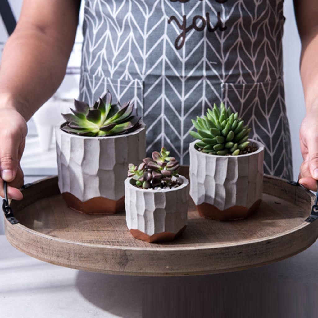 セメント 多肉植物 幾何学的 ラウンド プランター 多肉植物 プランター 容器 屋内 屋外 庭の装飾