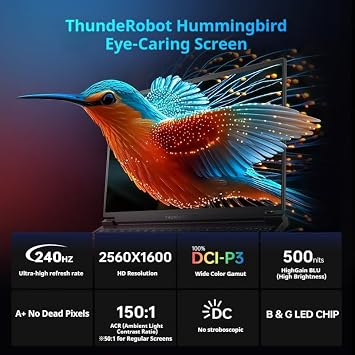 Thunderobot Hunter Blade S High Performance Laptop: Intel Core i7-13650HX CPU, GeForce RTX 5060, 16-inch 2.5K 240Hz 100% DCI-P3 Screen,16GB RAM, 1TB SSD, RGB Keyboard, Wi-Fi 6 for AAA Gaming