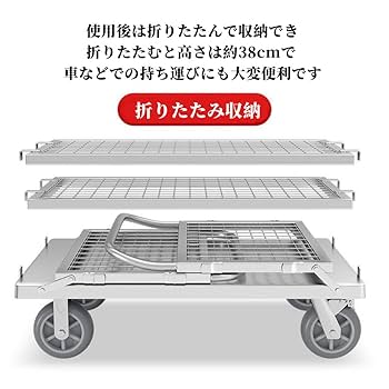 台車編のみ 64-3963-48 静音樹脂台車 （メッシュ柵/300kg） DSK-306 【AXEL
