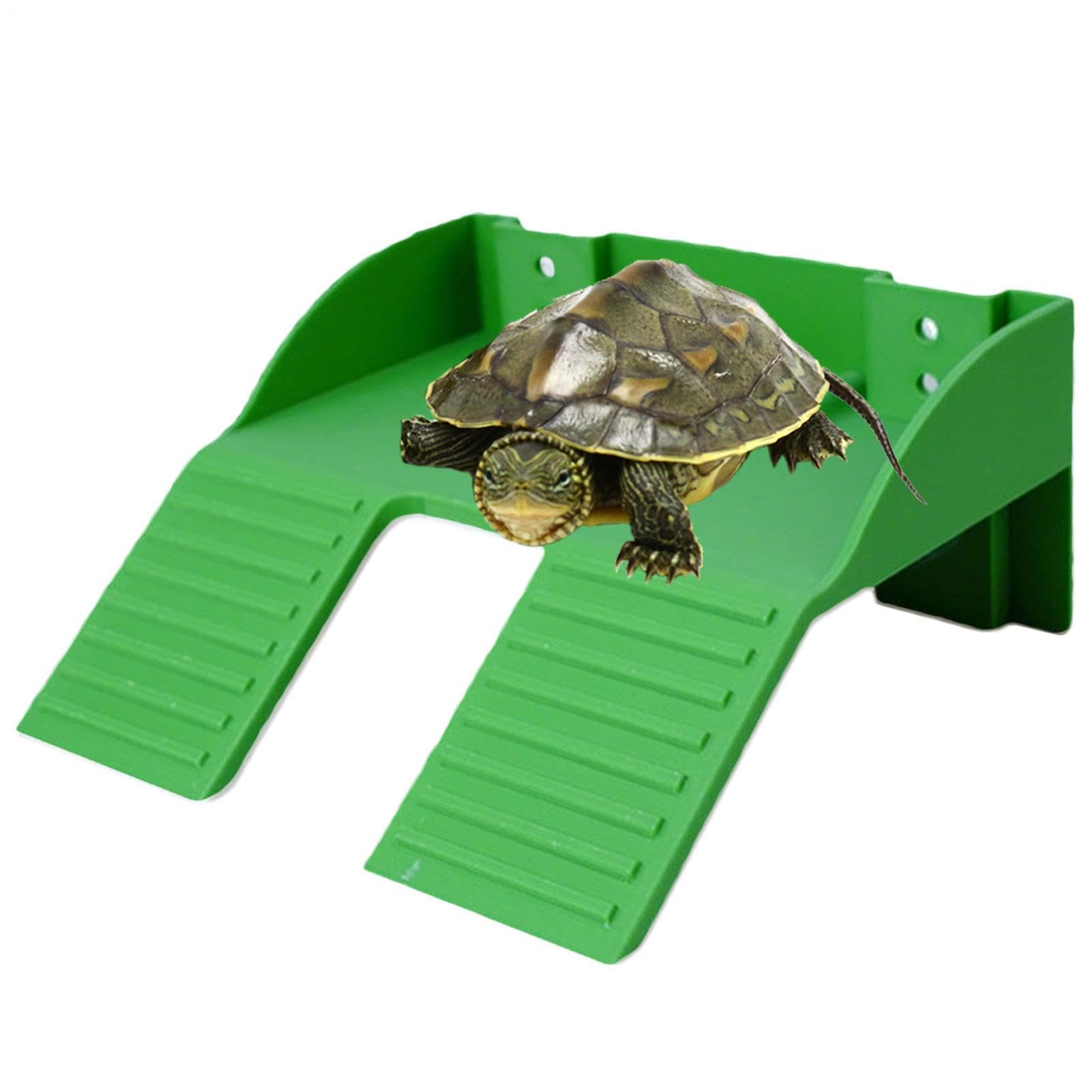 Grande terrasse de lézardage pour bac à tortue et dragon barbu