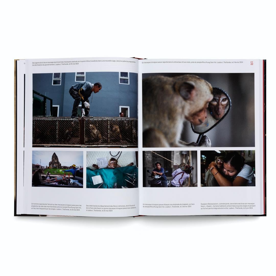 World Press Photo Yearbook 2025 (FR)