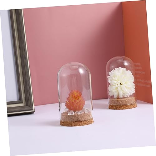 Miniatura 9 de ABOOFAN 5 unidades de mini cúpula de cristal Cloche decorativo con tapones de corcho, exhibición de terrario transparente, base de corcho para
