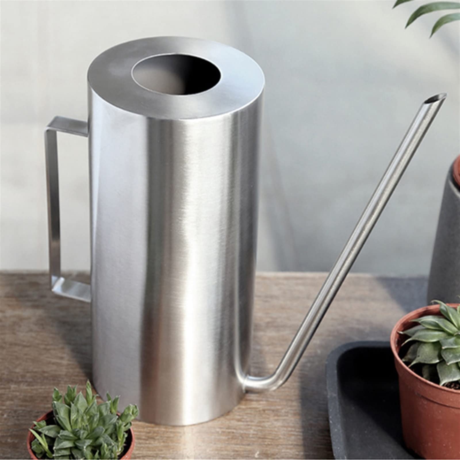 Arrosoir en acier inoxydable pour plantes d'intérieur avec long bec verseur - Outil de jardin