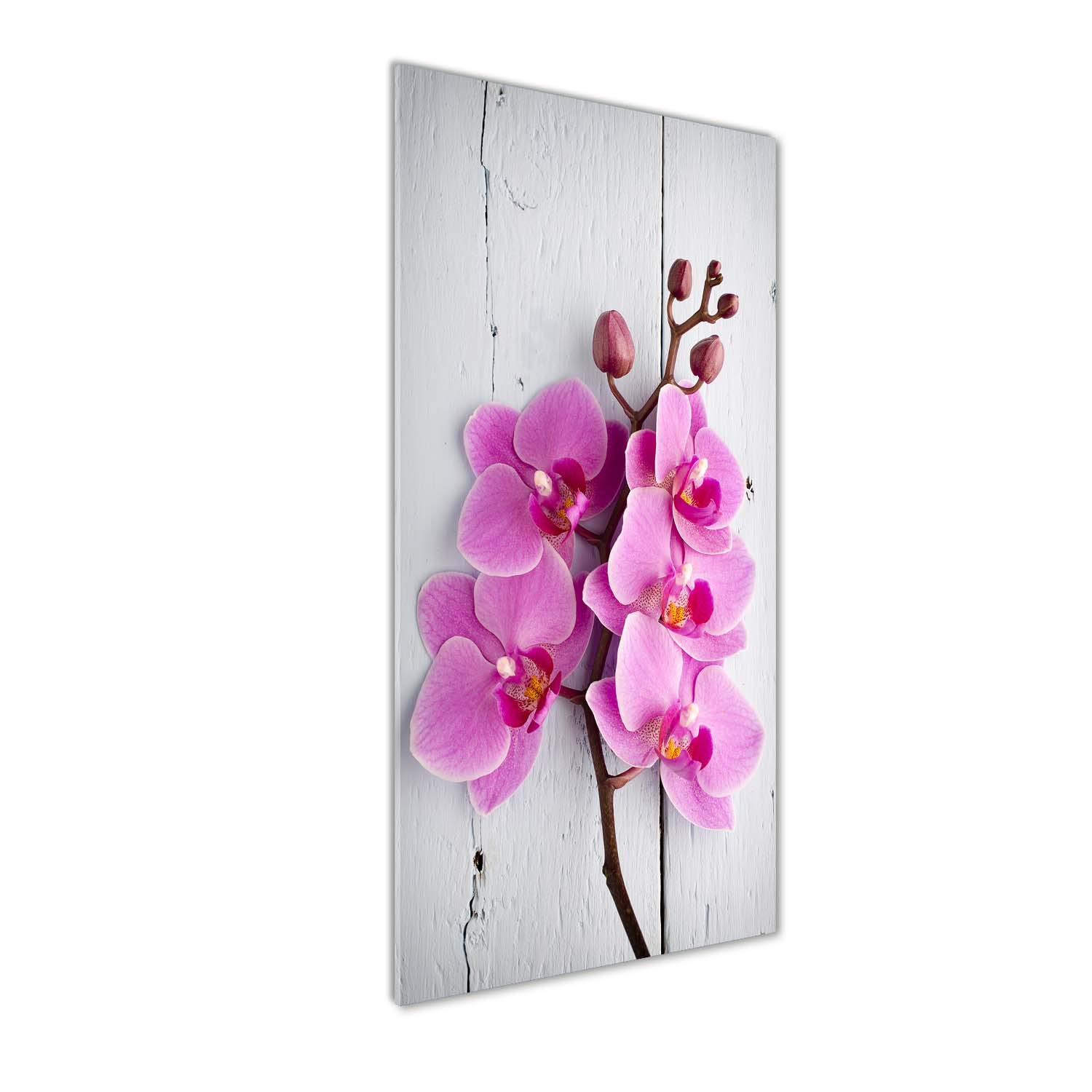 Tableau image orchidée rose en verre trempé 50x125cm salon