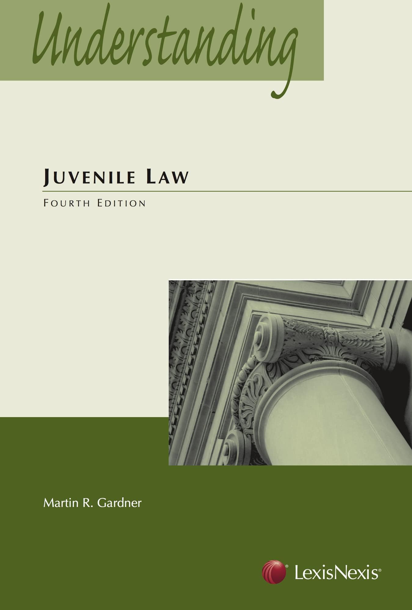 Understanding Juvenile Law (Understanding Series) Fourth Edition