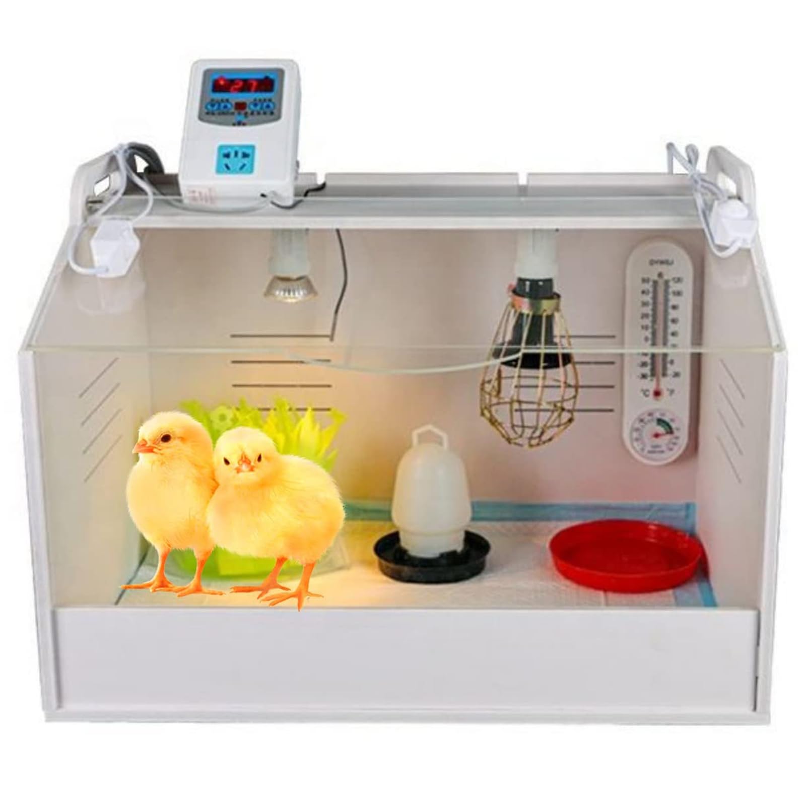 Boîte de couveuse pour poussins pour éviter le froid chez 15 à 35 jeunes oiseaux de ferme
