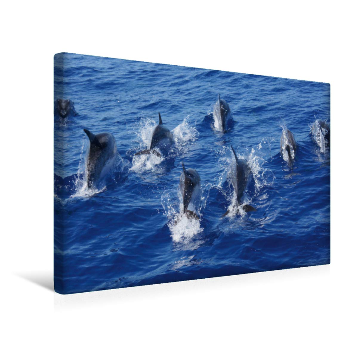 CALVENDO Madeira 2019 - Familienplaner hoch