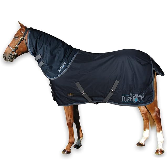 Horses, Manta de Paddock para Caballo Turnout 200 g, Impermeable, con Cobrecuello Desmontable, Resistente