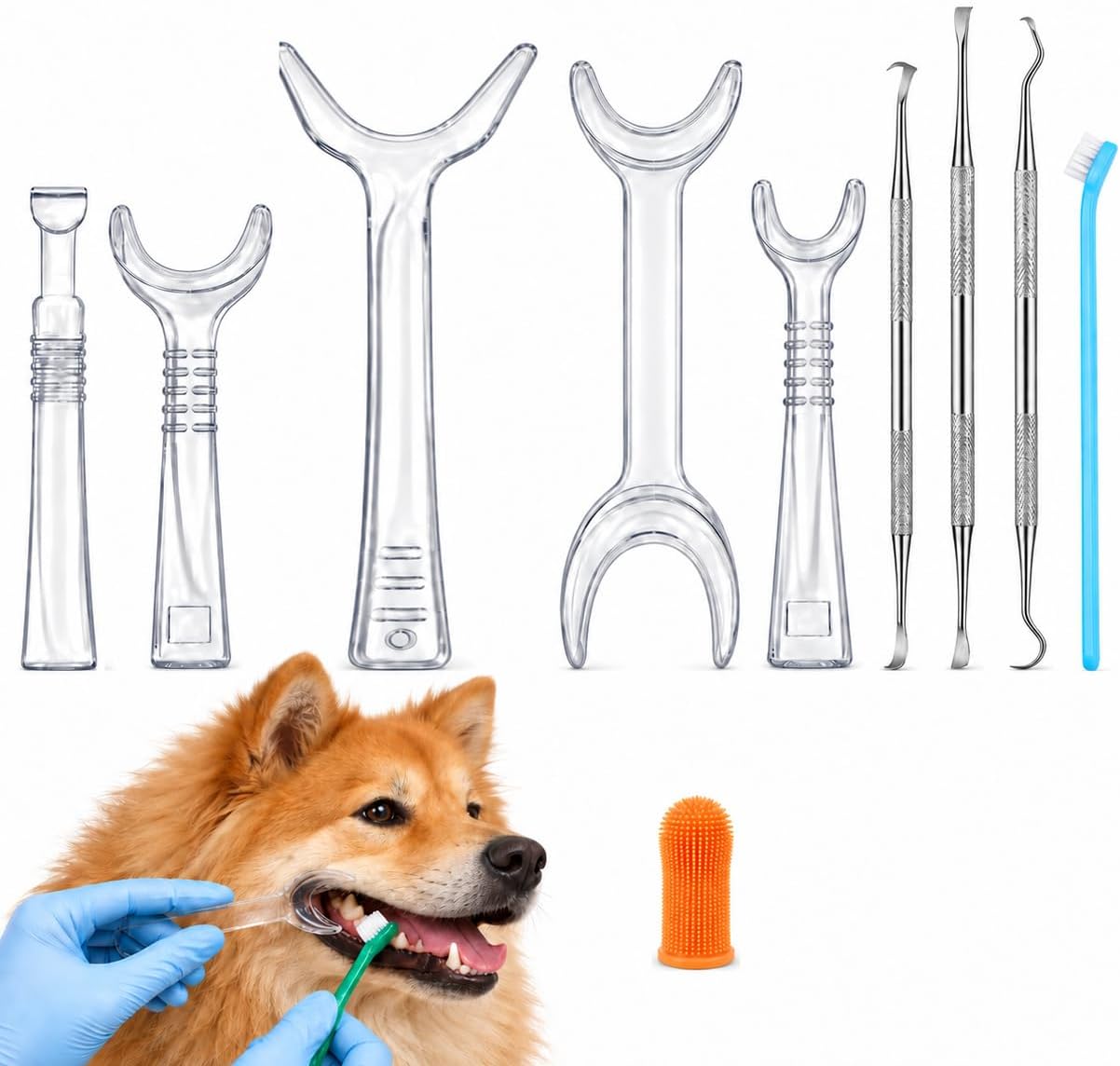 Dog Dental Care Kit with Mouth Openers, Scalers & Toothbrushes