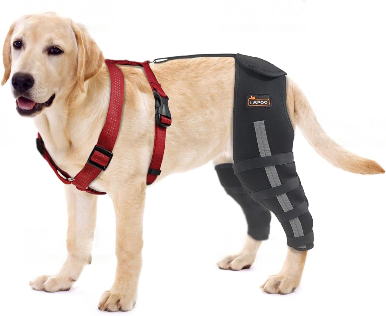 Hilltown Dog Knee Brace for Torn acl hind Leg,Dog Brace