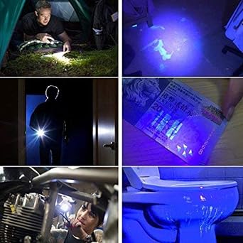 POCKETMAN Torch Detector for Testing Purple White mini UV Flashlight 395nm 2-in-1 UV LED Flashlight Black Light 2 Light Source [Energy Class F]