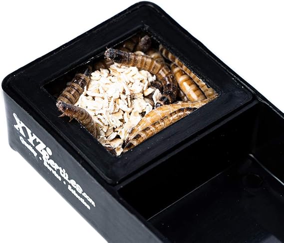 XYZReptiles Mealworm Feeding Dish Water Bowl Combo