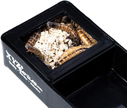 XYZReptiles Mealworm Feeding Dish Water Bowl Combo