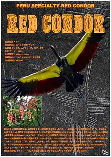 I400g y[ bhRh R[q[ R   (̂܂܁j