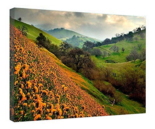 Impression sur toile montagnes et fleurs tableau prêt à poser pour habiller un mur nu