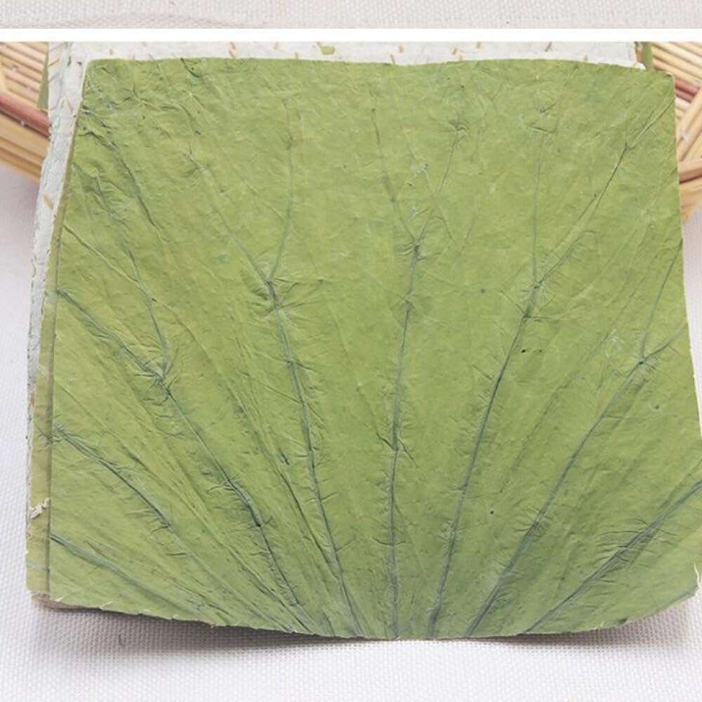Square Natural Dried Lotus Leaves for Outdoor Kitchen Food Tray Glutinous Rice Chicken Making Kitchen Accessories，20x20cm/8x8inch，100-PACK