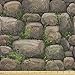 Ambesonne Nature Fabric by The Yard, Stones Covered with Moss Rock Formation Forest Peaceful Meditation Theme, Decorative Fabric for Upholstery and Home Accents, 1 Yard, Fern Green