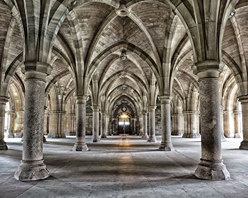 Wall Rogues WR50556 Gothic Arches Wall Mural