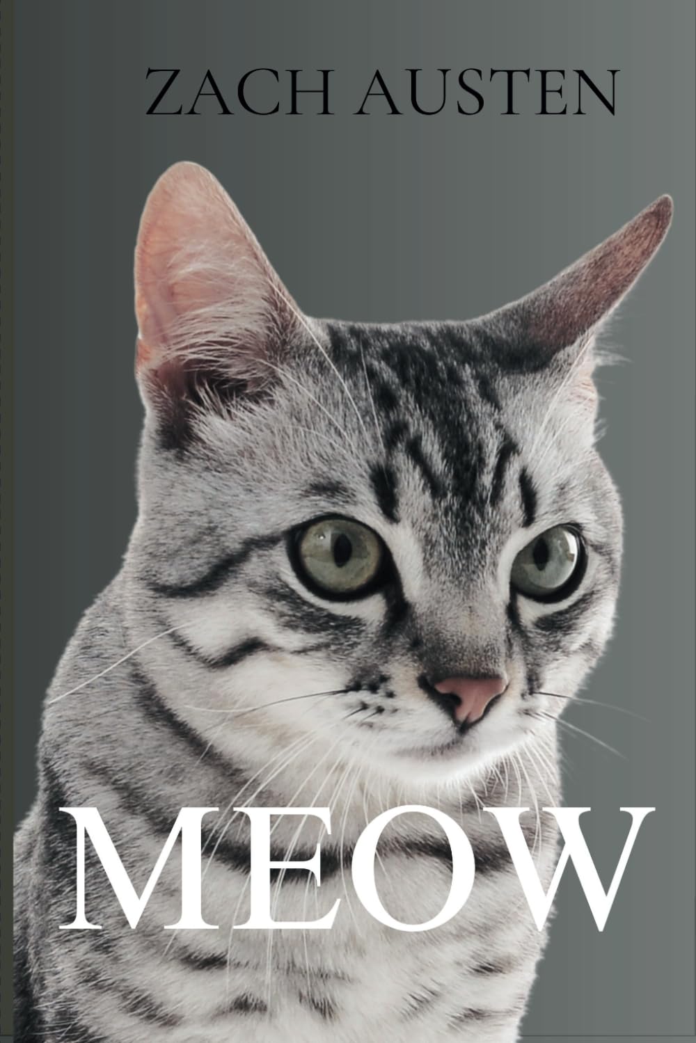 Meow Paperback – October 15, 2024