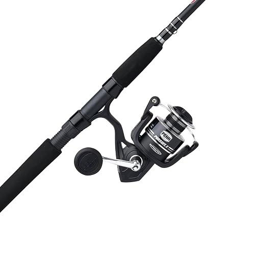 Penn Pursuit V Spinning Reel Combo product photo (Fishing Rods) — ScooterReviewPro review