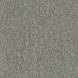 Mohawk Basics 24' x 24' Berber (Loop pile), 0.07' Pile Height, Carpet Tile, PET Fiber, Dime Color, (24 Tiles), (96 sqft/carton)