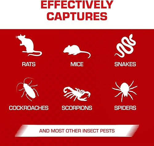 Miniatura 5 de Tomcat trampa de pegamento para ratas con eugenol