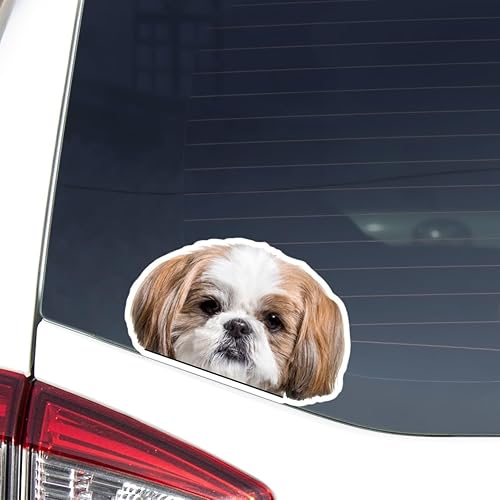 Calcomanía de Shih Tzu dorada y blanca para coche, foto de asombros, Shih Tzu, cabeza de perro, vinilo impermeable extraíble para parachoques de