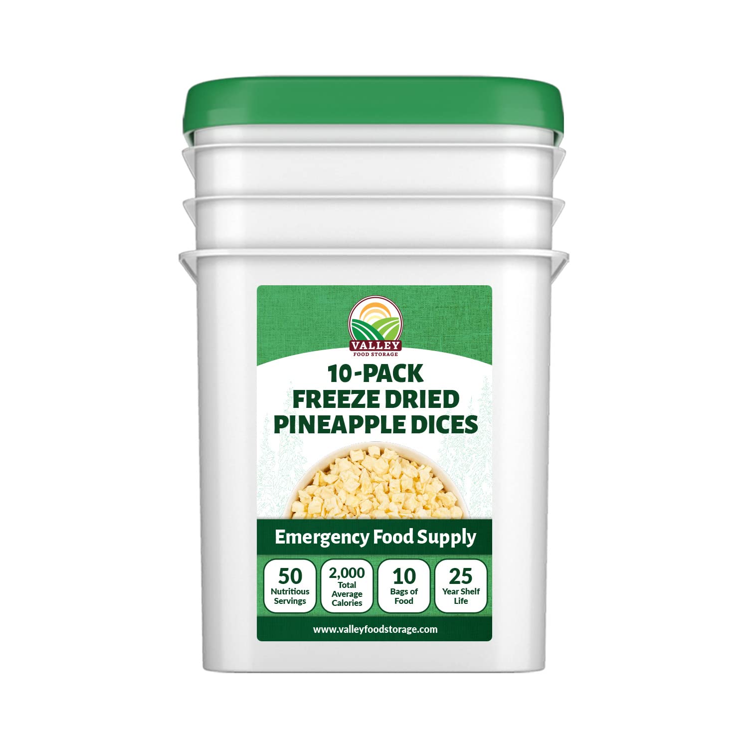 Freeze Dried Pineapple 10-Bag Bucket, 53 Oz | Premium Emergency Food Supply 25 Year Shelf Life | Non-GMO Prepper Supplies, Survival Food, Off Grid Living Supplies | Valley Food Storage Packaged in USA
