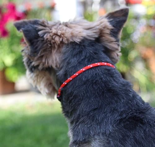 Miniatura 3 de National Strap - Collar de identificación de cuerda fina de montaña para perros XSde juguete (6 a 12 pulgadas), rojo tulipán, el collar original de