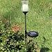 CISTWIN Paquete de 1 blanco cálido LED Solar Powered caliente amarillo Crackle...