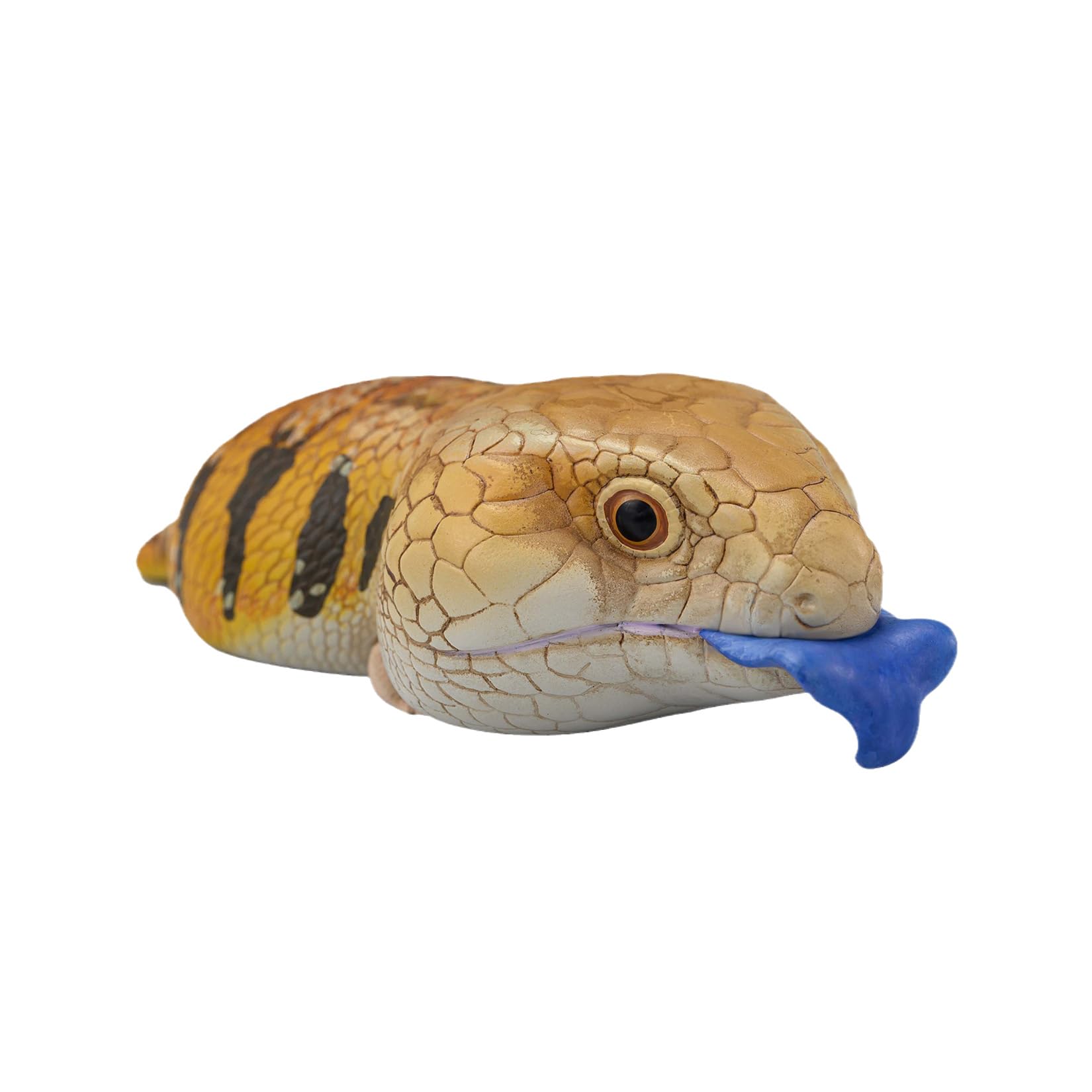 Amazon | 動物惑星 トカゲ グリーンイグアナ ブルーイグアナ サイ