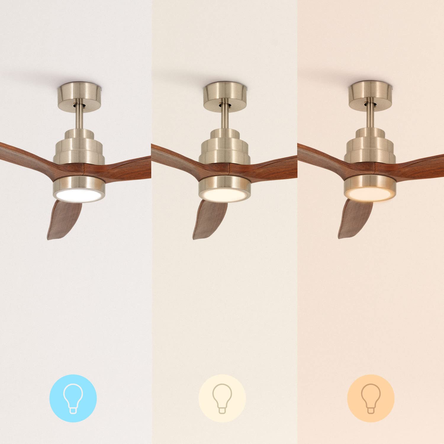 CREATE Kit di illuminazione a LED per WINDSTYLANCE DC