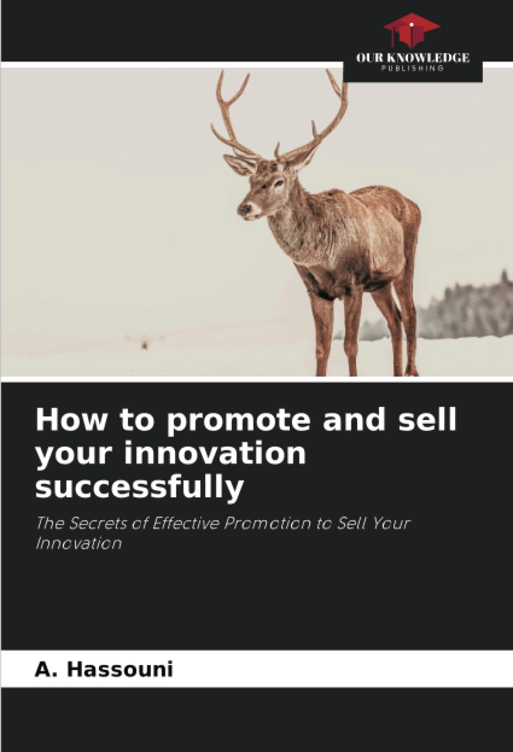 How to promote and sell your innovation successfully: The Secrets of Effective Promotion to Sell Your Innovation