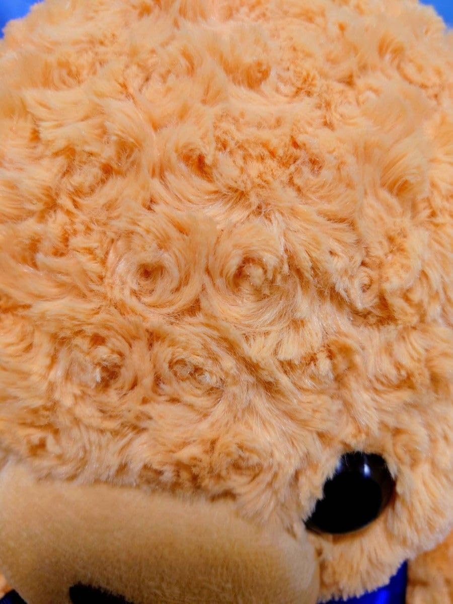 Amazon.co.jp: マイローズベア BIGクラシック ぬいぐるみ バラの毛並み