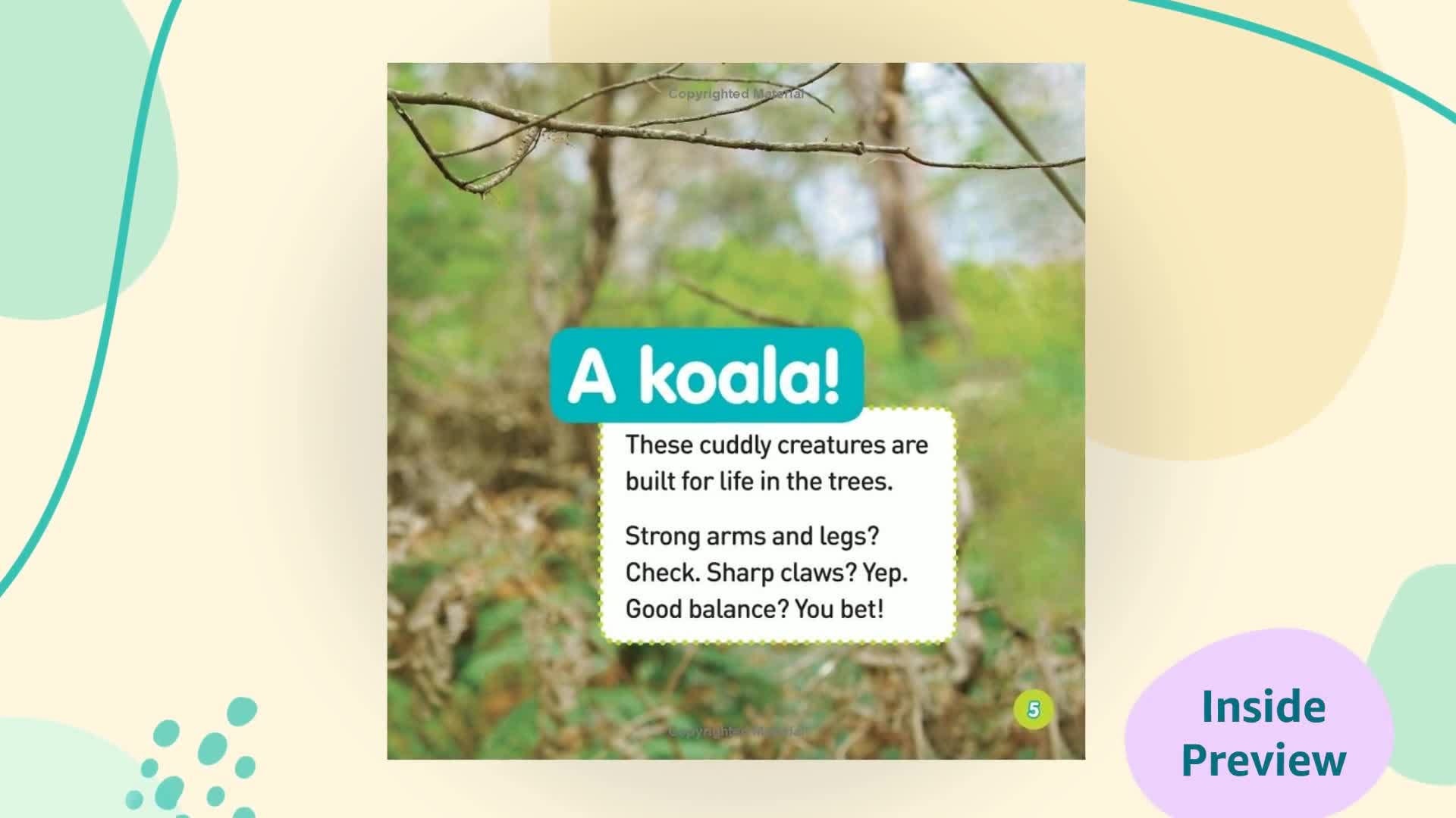Explore My World Koalas