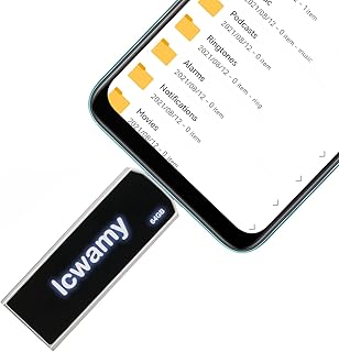 lcwamy USB3.1 64GB Type C USB Drive with R/W Speed: 35MB/130MB 64GB Type C USB Flash Drive 3.0 64GB Type C Flash Drive USB3.1 64GB USB428