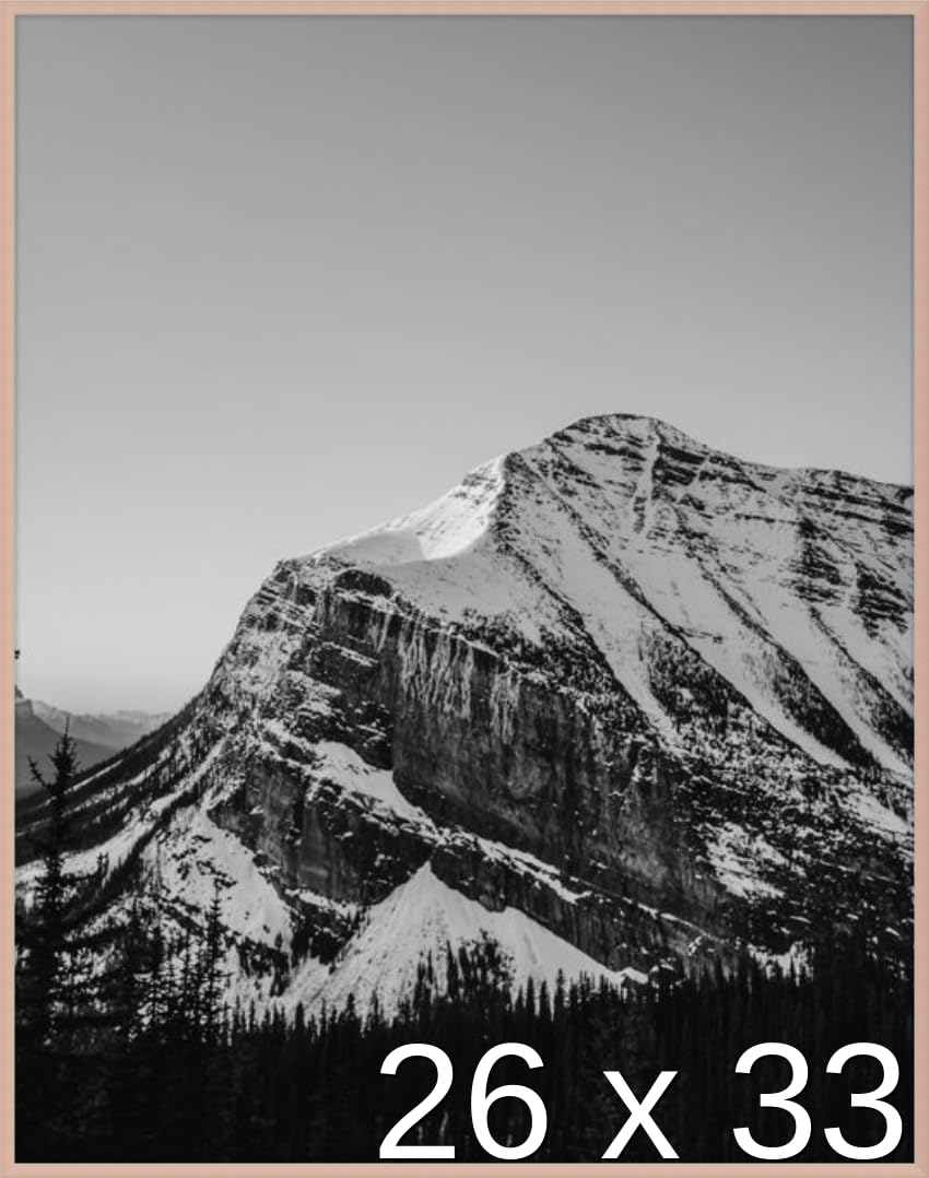 Frame It Easy 26 x 33 Rose Gold Metal Frame (Ashford)