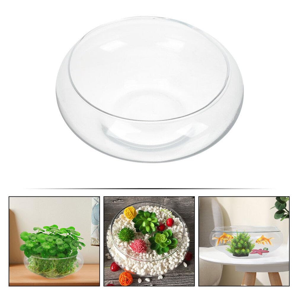 Vase Bol à Poissons Transparent Bol à Bulles Conteneur Plastique Arrondi et Bas Pot pour Plantes Aquatiques Pot pour Jonquilles Hydroponique pour Aquarium