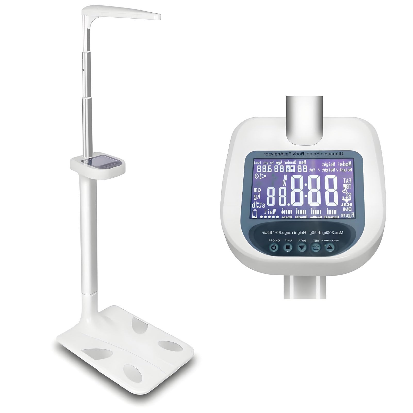 Balanza médica Multifuncional, 200 kg (440 LB) | Analizador de altura y grasa corporal, 80-195 cm. Ideal para hogares, gimnasios y salones de belleza