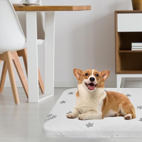 Miniatura 5 de Biloban Camas impermeables para perros grandes XL, almohadilla lavable para cama de perro o cama para mascotas, camas y muebles de espuma