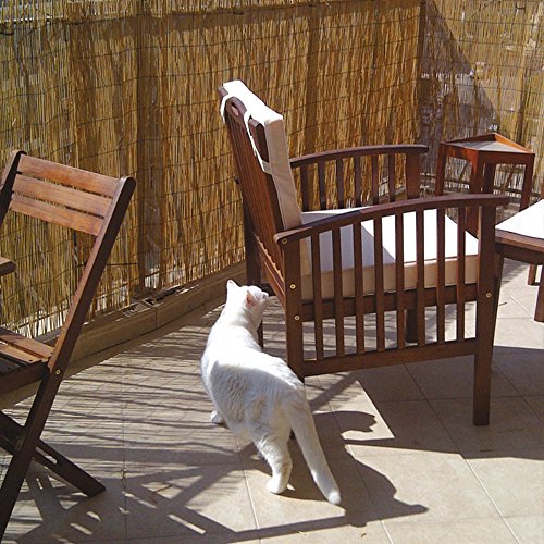 VERDELOOK Arella Cina in cannette Bamboo pelato