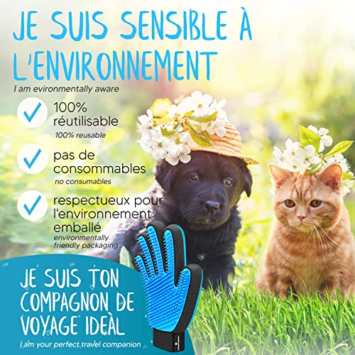 LÖWENKÖNIG 1 (Gant de toilettage Bleu) – Image 6