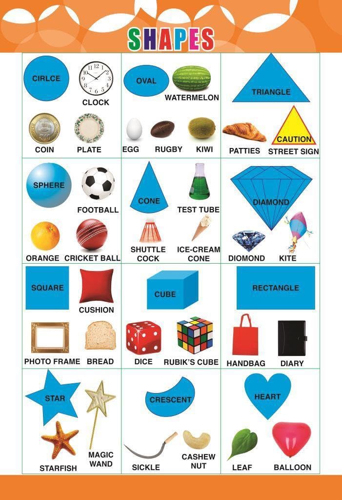 Eoi Marketing Shapes Wall Charts - Extremely Usefull For Growing Kids | Laminated Chart | Paper Size (13 * 19 Inch) | Paper Print (Rolled With Safety Tube)-picture-33