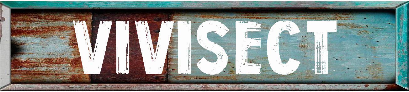 VIVISECT 8" Teal Rectangle Weathered Painted Metal Rustic Look Decal Bumper Sticker for use on Any Smooth Surface
